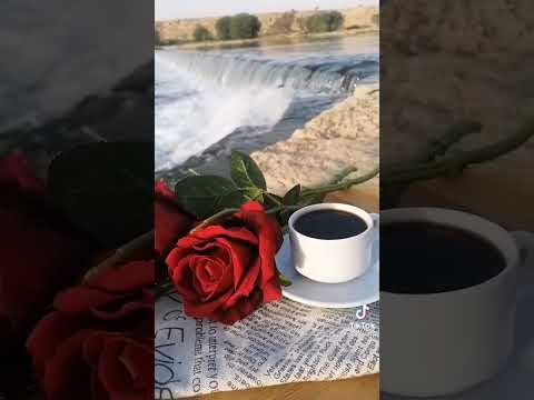 فيروز ياطير 