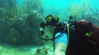 Blue Divers, Melia Cayo Coco. Cuba