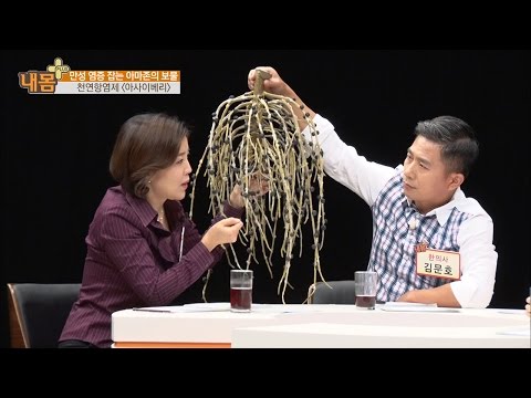 천연항암제 ‘아사이베리’를 직접 스튜디오에 가져왔다! [내 몸 플러스] 31회 20161106