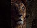Don't Forget You're On The Mission | Motivational Shorts