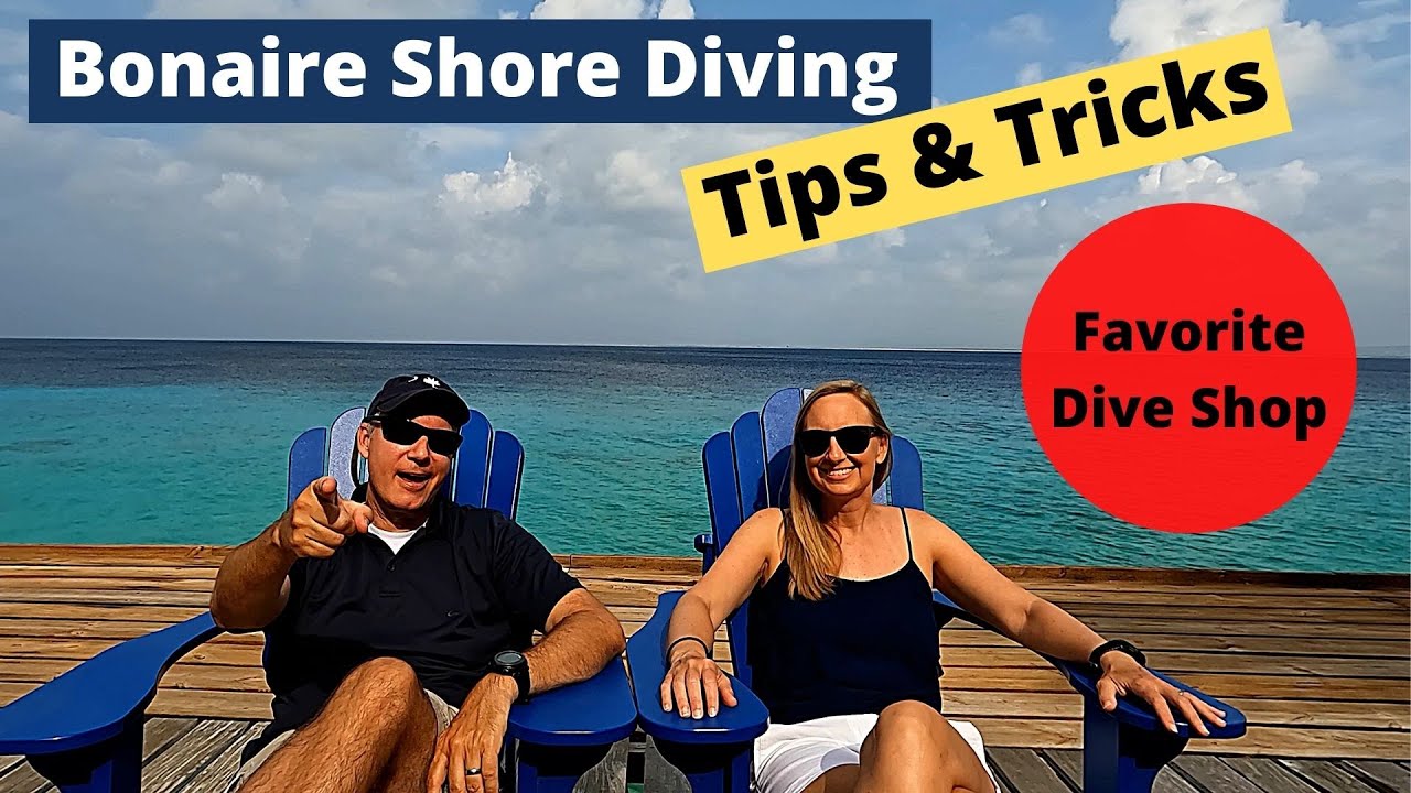 Our Favorite Bonaire Dive Shop YouTube