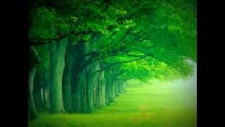 Uppermost - Heart Stopped Beating