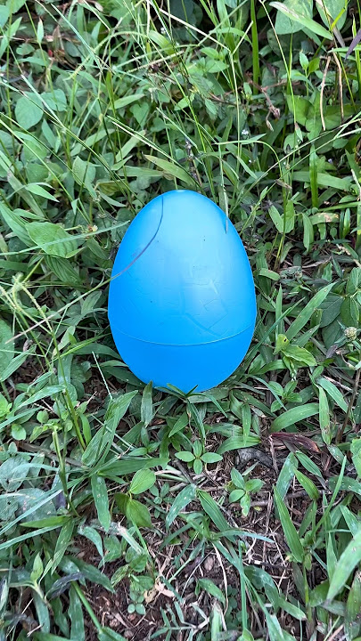 🧠 Egg Surprise 210 - Anomaly edition : tung tung tung sahur #scary #creepypasta #egg #creepy #eggs