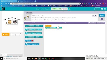 Code.org Course 2, Stage 4 