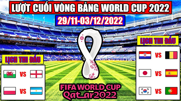 Thi đấu world cup 2022