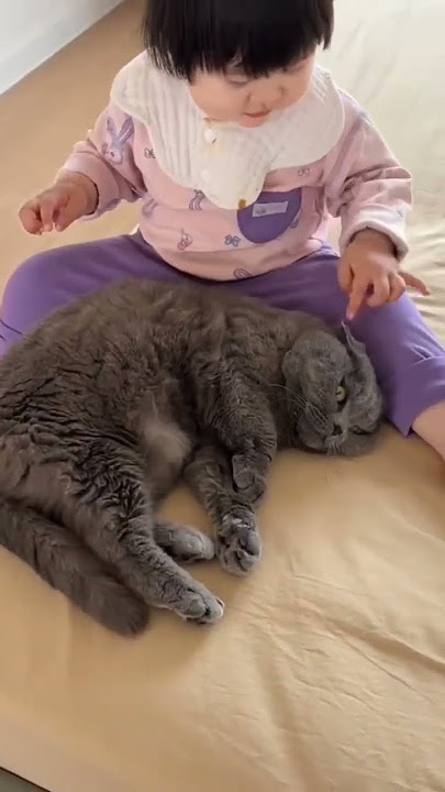 Serah ku cil #lucu #shorts #kucing #funny
