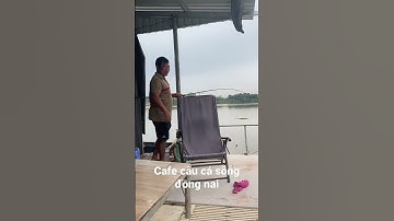 Cafe câu cá sông Đồng Nai quá đã #shorts