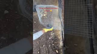 River rock cleaning