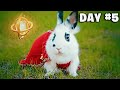 Epic Bunny's Adventure