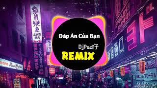 Đáp Án Của Bạn Remix 阿冗 - 你的答案(DjPad仔 ProgHouse Mix国语男)