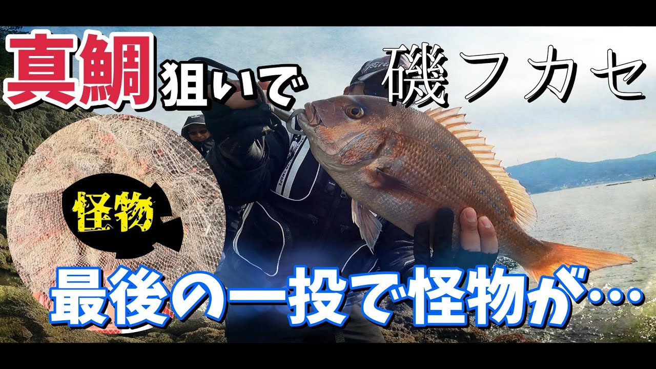 【磯フカセ】真鯛狙いで最後に怪物が…【真鯛】