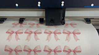 Graphtec FC9000 Cutting Vinyl Stickers