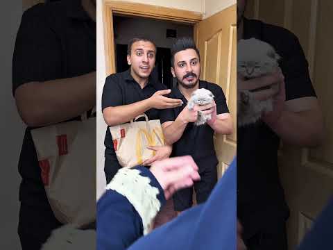 عضو جديد بفريقنا    زيكو والزير