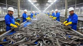 Inside the Eel Leather Factory: From Raw Eel Skin to Premium Luxury Products | Full Process