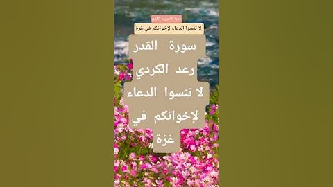 سورة القدر رعد الكردي #المصحف #تيك_توك #قران_كريم  #راحة_نفسية #حالات_واتس #لايك #ترند #اكسبلور