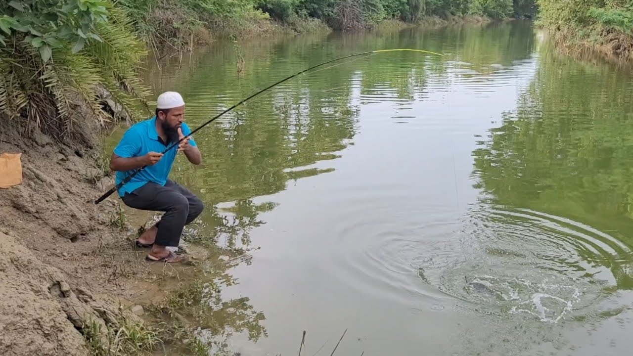 Fishsing Insect BITE