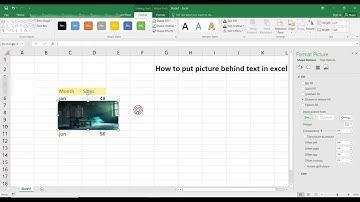 How to put picture behind text in excel