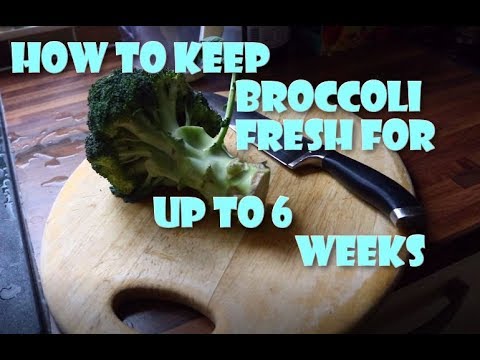 How to keep broccoli fresh