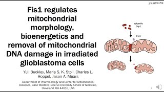 JCS snapshot: Fis1 regulates mitochondrial morphology, bioenergetics and DNA damage removal