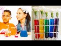 12 Crazy Cool DIY Science Experiments! | Easy and Fun Activities by Blossom