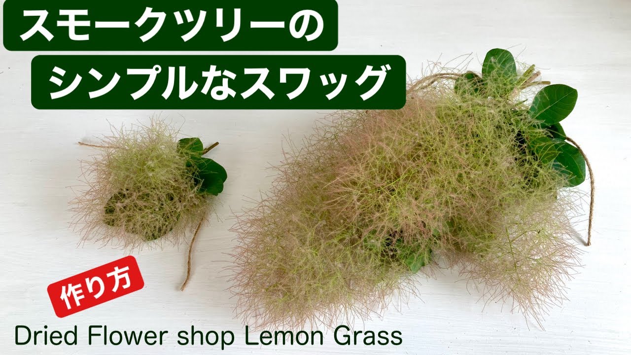 スモークツリーのシンプルなスワッグ・作り方・生花からドライへ - YouTube