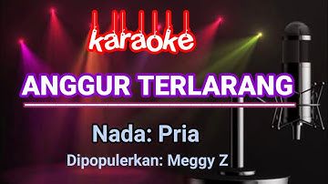 Anggur Terlarang - Karaoke | Meggi Z