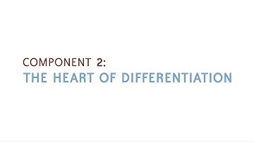 Component 2:  The Heart of Differentiation