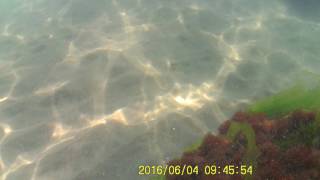 ACME-CAMERA Water Test