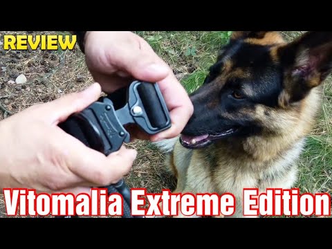 Update Vitomalia Hundehalsband und Leine der Extreme Edition | 4cm Halsband(L) und 1 Meter Leine im Test 🦮
