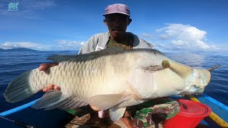 STRIKE BERTUBI-TUBI ‼️ JACKPOT NAPOLEON TAPI SAYANG IKANNYA😭 || BIARO. Part 1