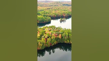 قرآن كريم// بصوت الشيخ احمد النفيس// حالات واتس// #القرآن_الكريم #حالات_واتس