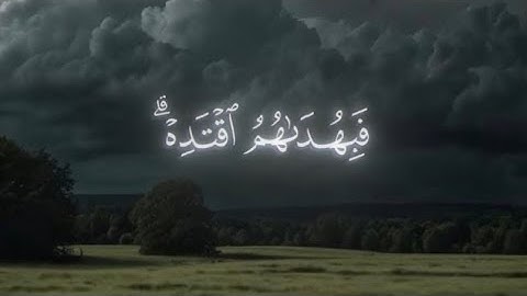 (فبهداهم اقتده) آيات من سورة الأنعام | مشاري العكيل