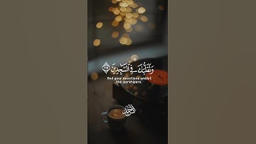 وتوكل على العزيز الرحيم💜 | القارئ أنس أحمد