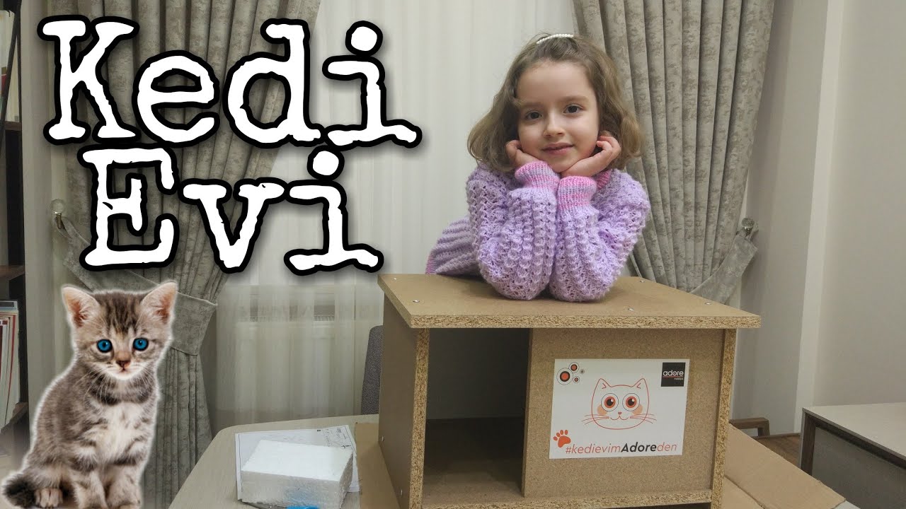 cok ucuz kedi evi yapimi 17 15 do it yourself cat home youtube