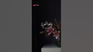 تلاوة خاشعة للشيخ احمد النفيس 🎧❤️‍🩹 #أرح_سمعك_وقلبك #اكسبلور #حالات_واتس #طمئن_قلبك #احمد_النفيس