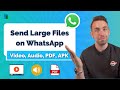 How to Send Large Files on WhatsApp iPhone & Android - Video, Audio, PDF, APK