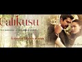 Calikusu  - on vioiln -  ( arrangement Ramil Erzin )