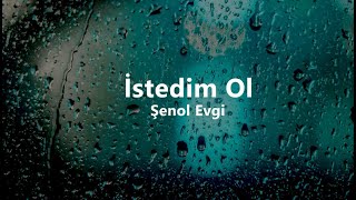 Şenol Evgi - İstedim ol #tiktok #kurtbakışlım #ömrüm (Lyrics / sözleri) Resimi