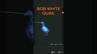 This DIDNT Go As PLANNED! #thehunter #cotw