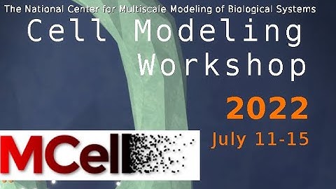 Introduction to MCell4: Monte Carlo Simulator of Reaction/Diffusion | Cell Modeling Workshop 2022
