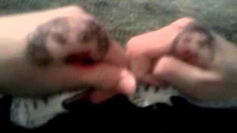 Exist trace-judea(retake PV).wmv
