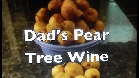 How to Make Pear Wine.  Dad
