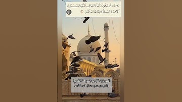 الآية 201-202 من سورة البقرة