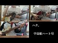 ハク。 / 宇宙船ハート号 Lead + Rhythm Guiter + Bass