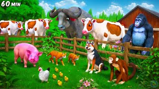 Hungry Animals Food Feast Adventure | Cow Pig Cat Monkey Dog Animal Kingdom Fights Movie Compilation