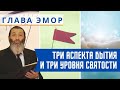 Недельная глава Эмор. Три аспекта бытия и три уровня святости | Рав Цви Патлас