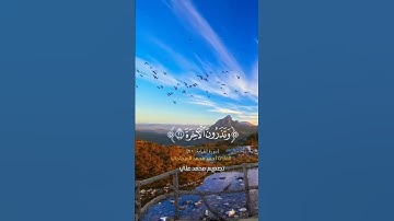 سورة القيامه #اكسبلور #love #duet