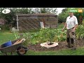 Travaux du jardin : août (protéger les pieds des arbres)