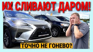 видео: 🎡 Литва. ЧТО ЗА АТТРАКЦИОН ЩЕДРОСТИ? 🎁🤯 Почему так дешево продают эти авто? 🚗💸 Реально или развод? 🤔 картинка: 🎡 Литва. ЧТО ЗА АТТРАКЦИОН ЩЕДРОСТИ? 🎁🤯 Почему так дешево продают эти авто? 🚗💸 Реально или развод? 🤔