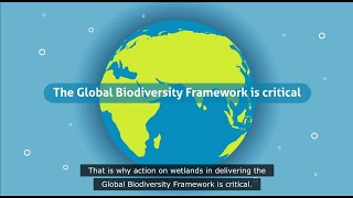 Wetlands and the Global Biodiversity Framework